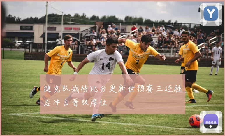 捷克队战绩比分更新世预赛三连胜后冲击晋级席位