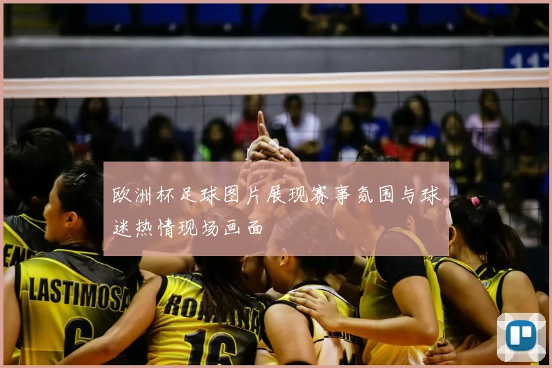 欧洲杯足球图片展现赛事氛围与球迷热情现场画面