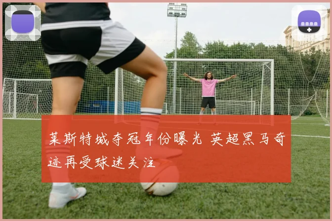 莱斯特城夺冠年份曝光 英超黑马奇迹再受球迷关注