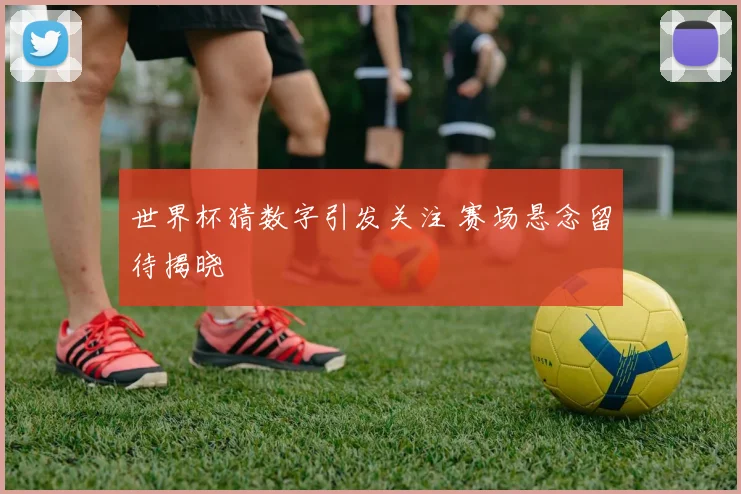 世界杯猜数字引发关注 赛场悬念留待揭晓