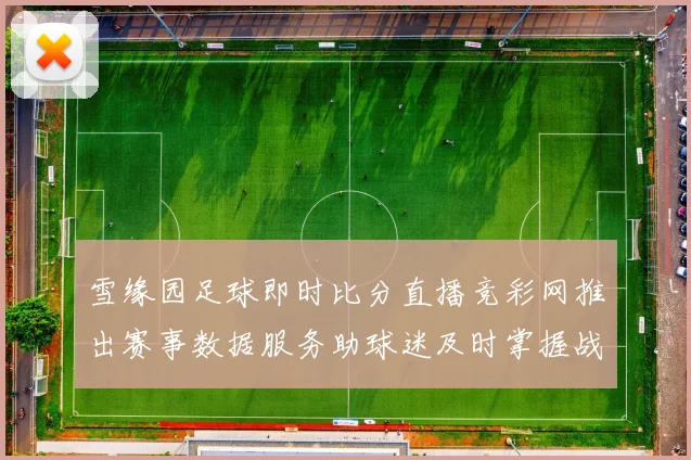 雪缘园足球即时比分直播竞彩网推出赛事数据服务助球迷及时掌握战况
