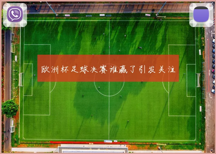 欧洲杯足球决赛谁赢了引发关注